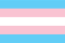 Trans Gender Flag